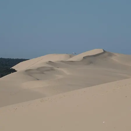 Palm'ares Appartement